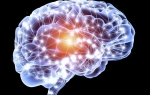 Что такое нейропластичность мозга