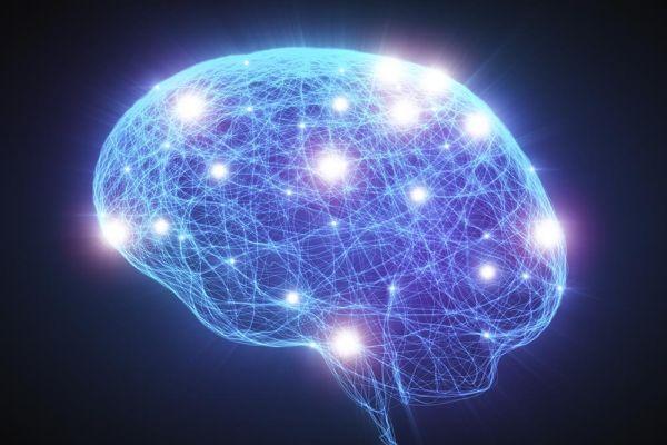 нейронные связи мозга